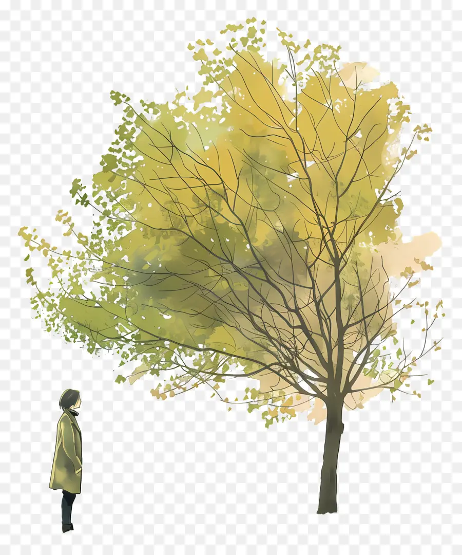 Femme Au Printemps，Arbre D'automne PNG