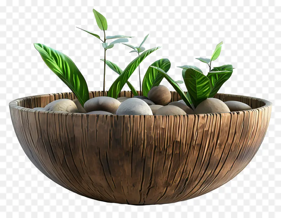 Bol En Bois，Bol En Bois Avec Plantes PNG