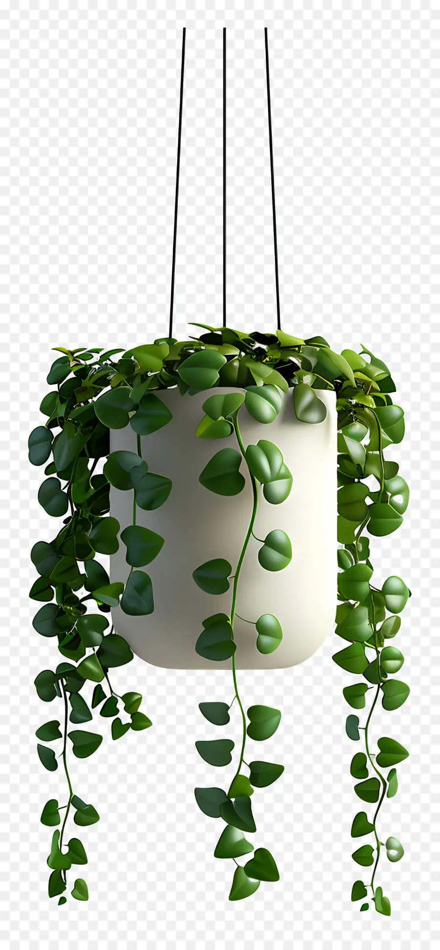 Plante En Pot Suspendue，Plante Suspendue PNG