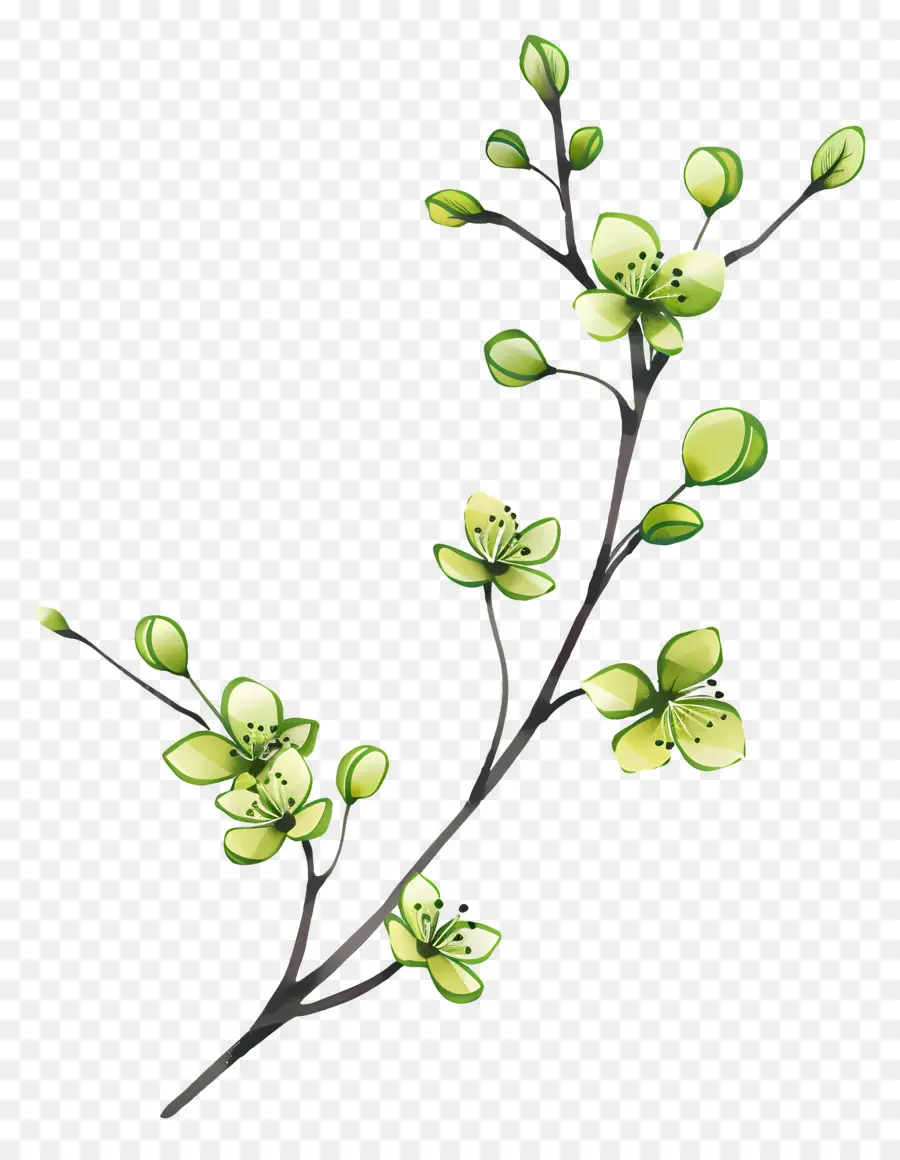 Fleurs Vertes，Fleurs PNG