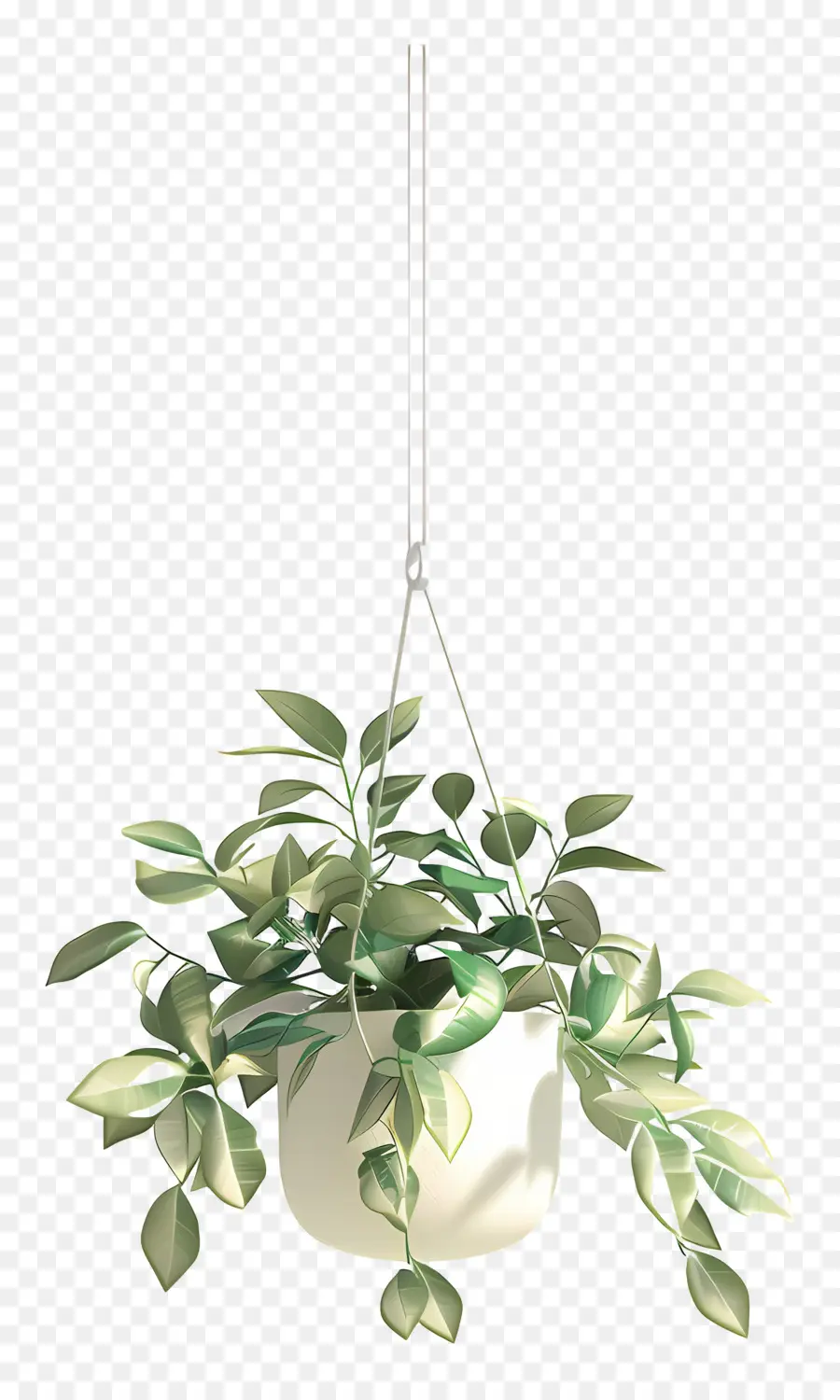 Plante En Pot Suspendue，Plante Suspendue PNG