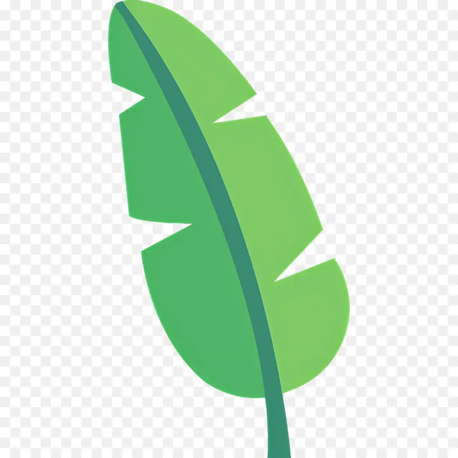 Feuille De Bananier，Feuille Verte PNG