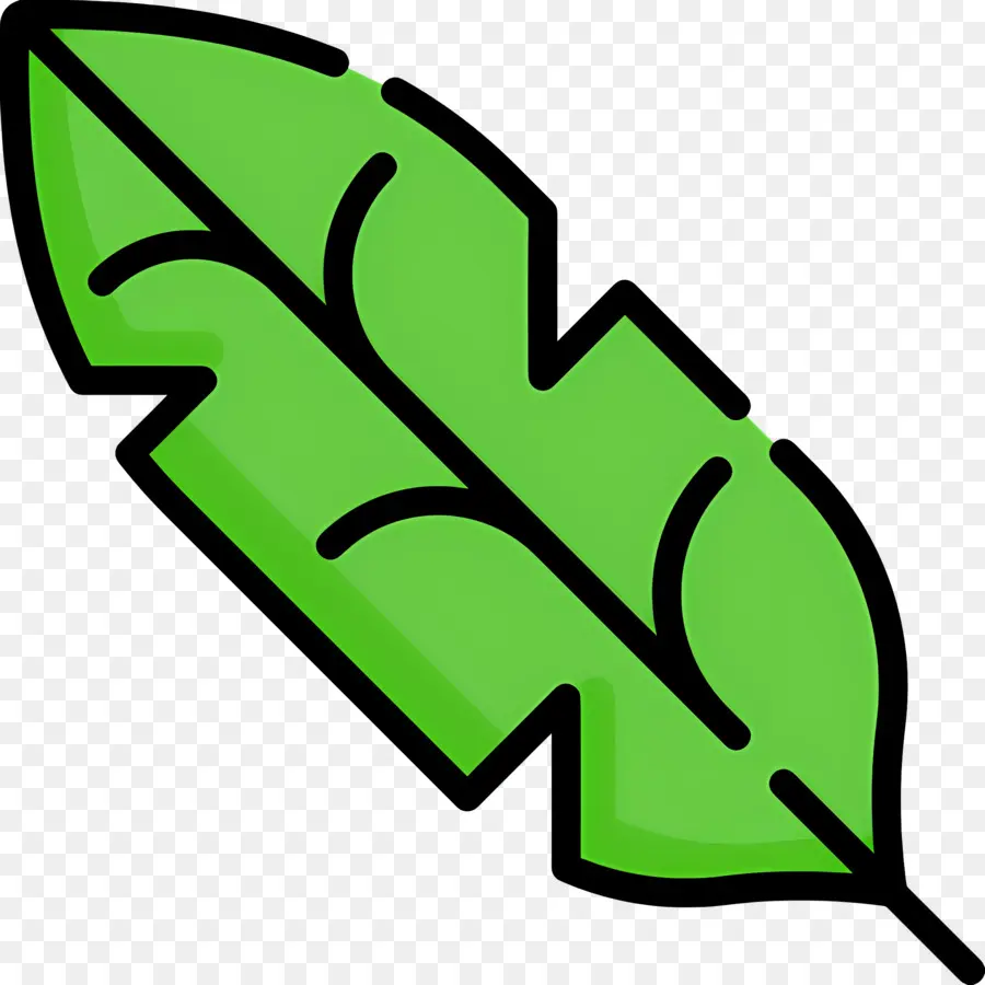 Feuille De Bananier，Feuille Verte PNG