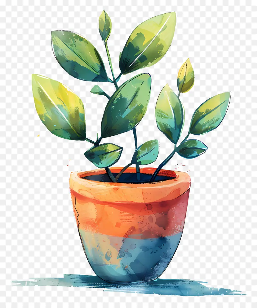 Pot De Plante，Plante En Pot PNG