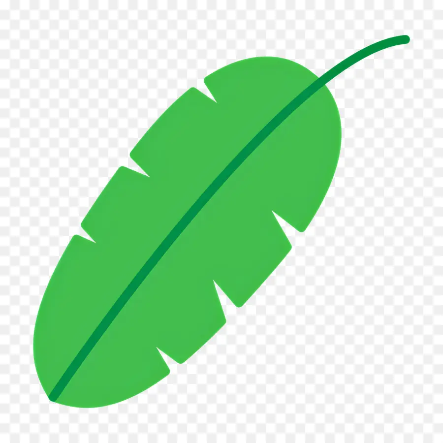 Feuille De Bananier，Feuille Verte PNG