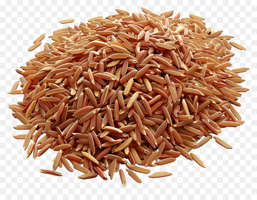 Riz Brun，Grains PNG