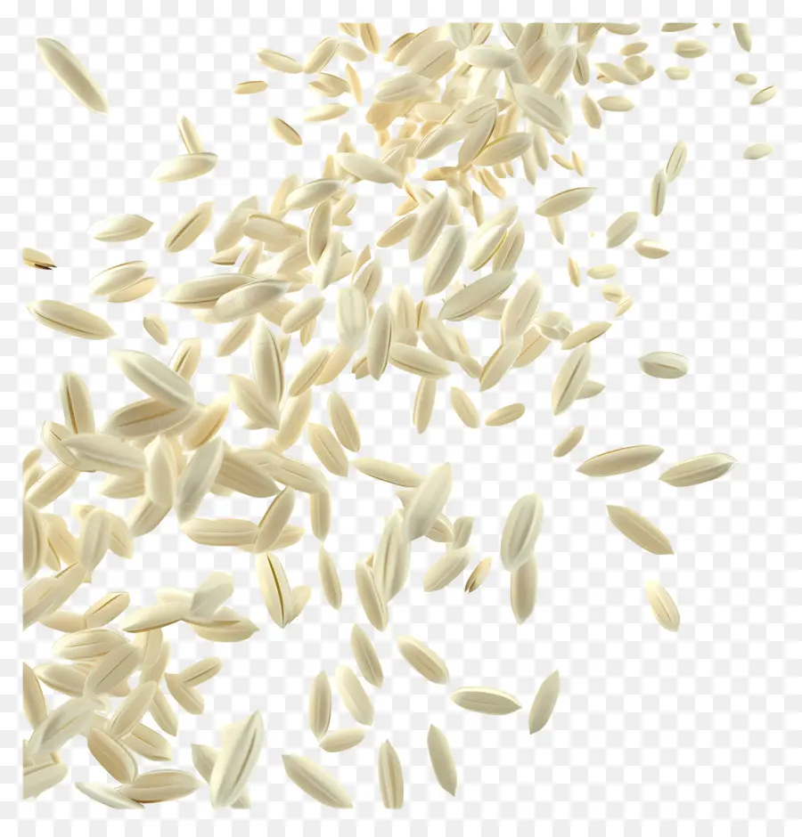 Grains De Riz，Graines PNG