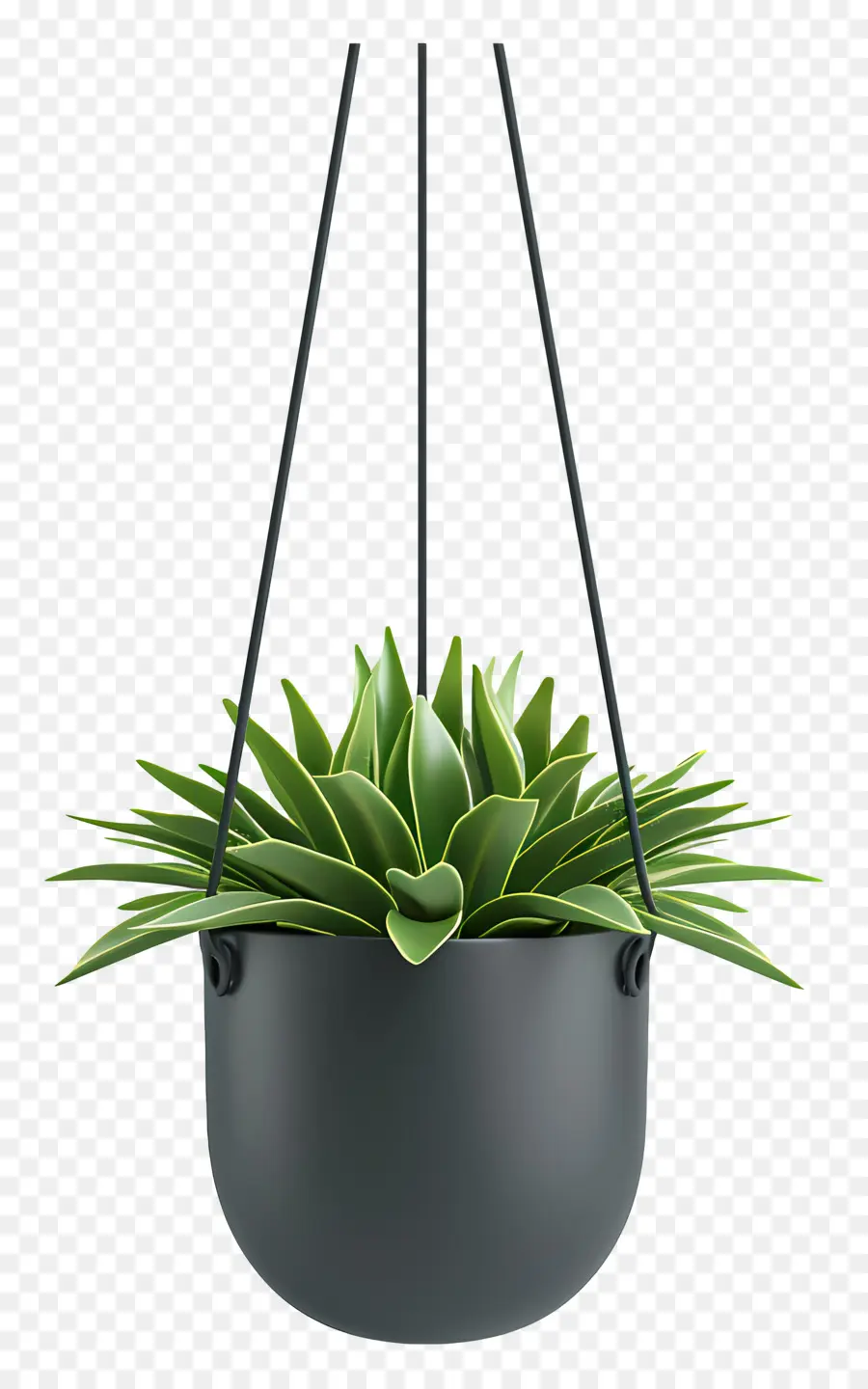 Plante En Pot Suspendue，Plante Suspendue PNG