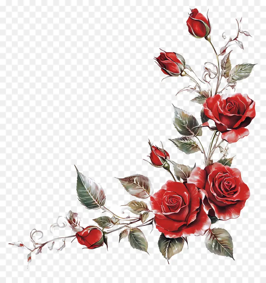 Rose，Roses Rouges PNG