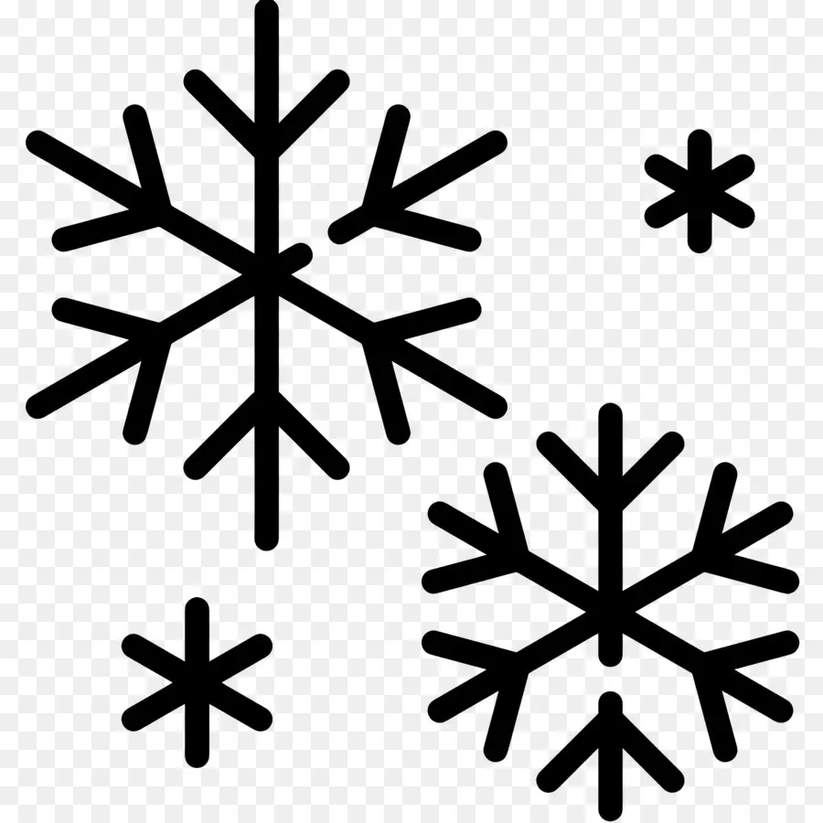 Flocon De Neige，Hiver PNG