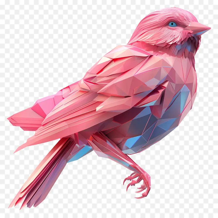 Oiseau Rose，Plumes PNG