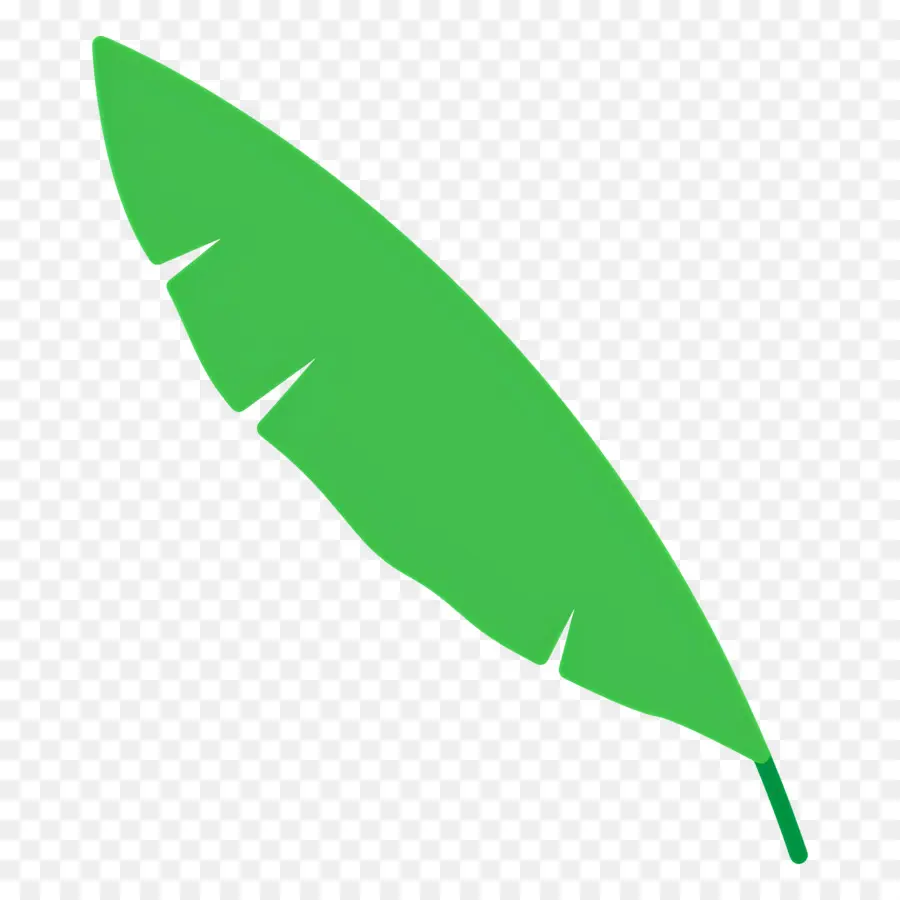 Feuille De Bananier，Feuille Verte PNG