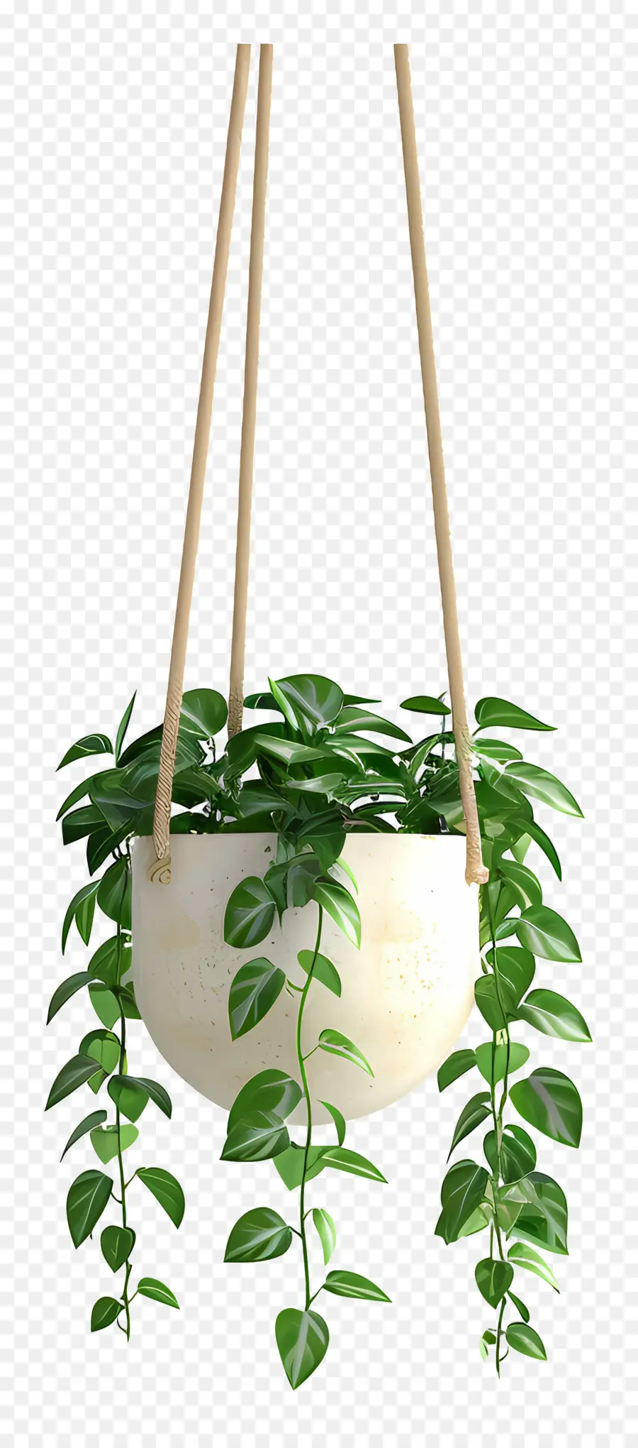 Plante En Pot Suspendue，Plante Suspendue PNG