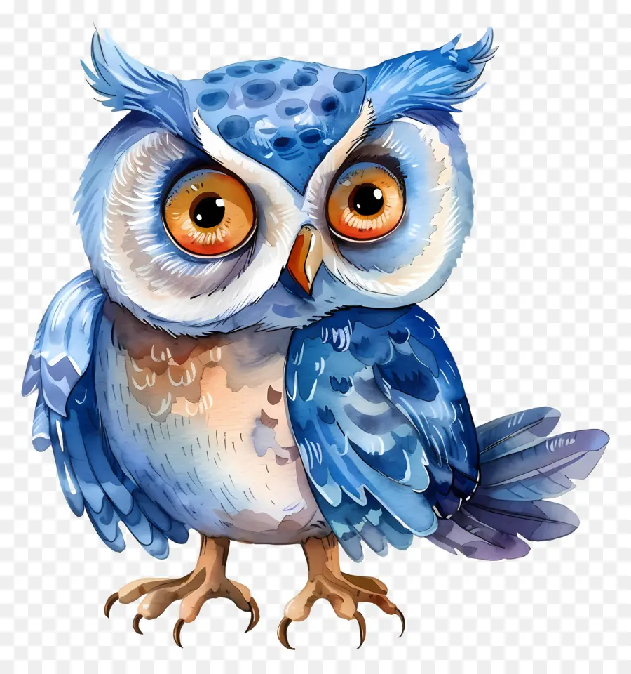 Chouette Aquarelle，Hibou PNG