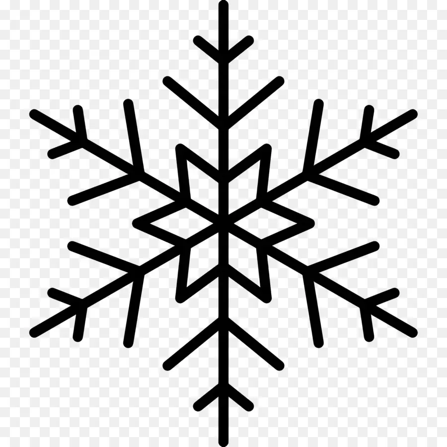 Flocon De Neige，Hiver PNG