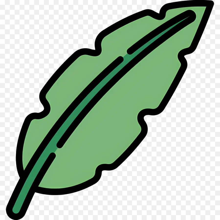 Feuille De Bananier，Feuille Verte PNG