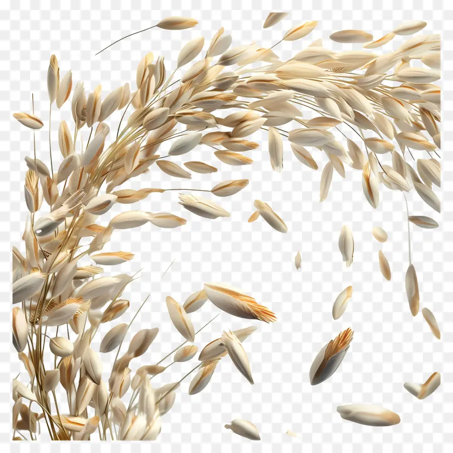 Grains De Riz，Blé Doré PNG