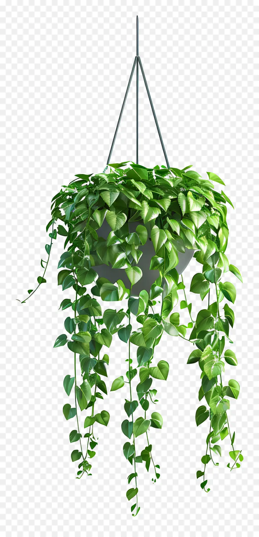 Plante En Pot Suspendue，Plante Suspendue PNG