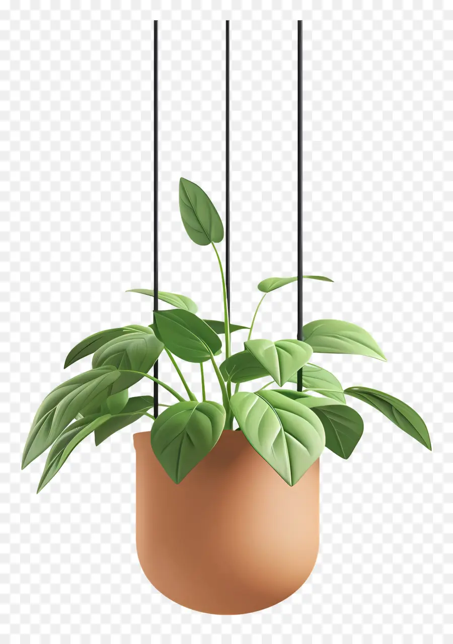 Plante En Pot Suspendue，Plante Suspendue PNG