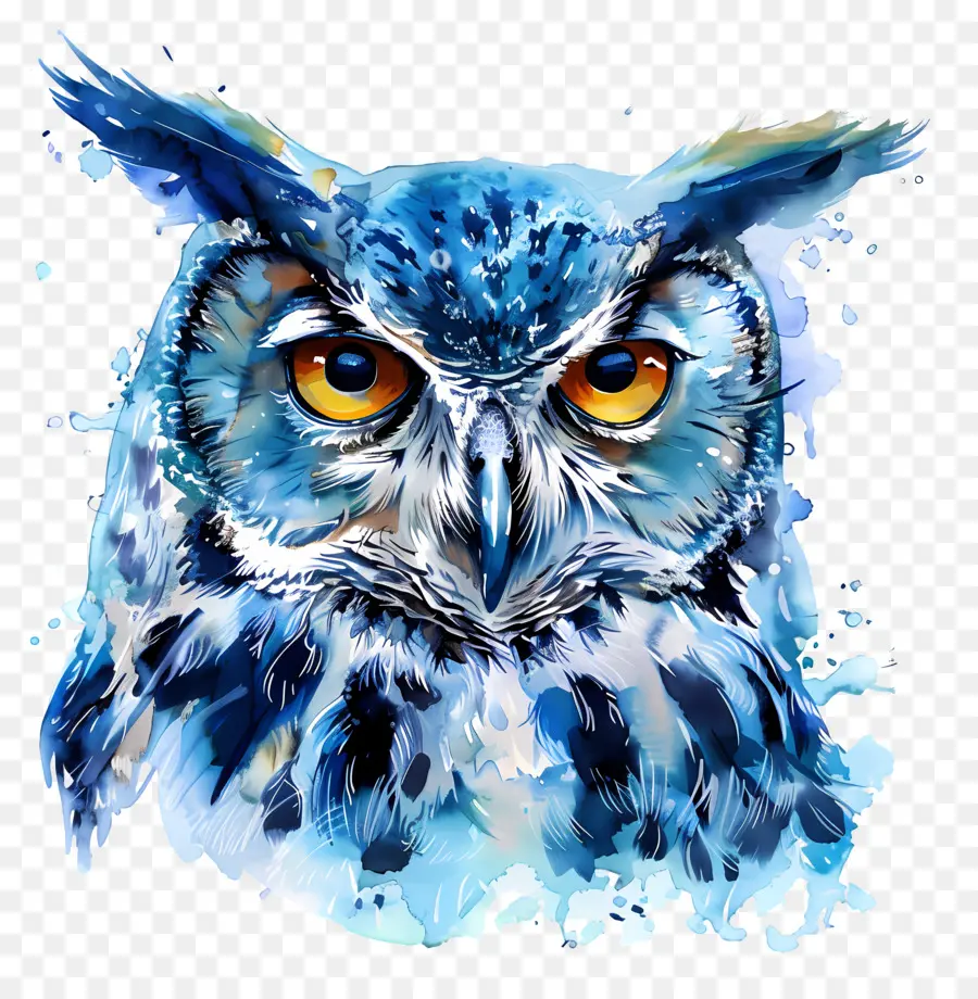 Chouette Aquarelle，Hibou Coloré PNG