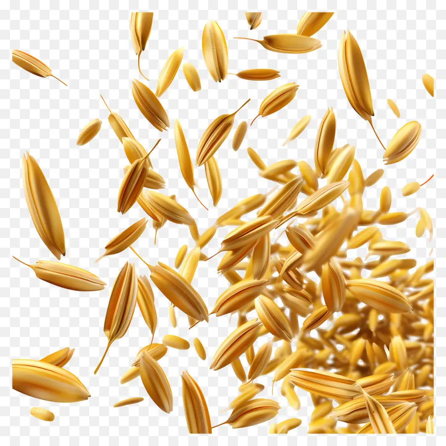 Grains De Riz，Doré PNG