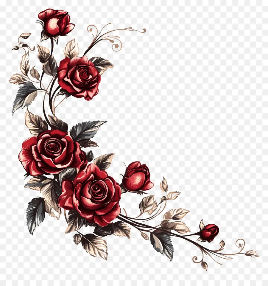 Rose，Roses Rouges PNG