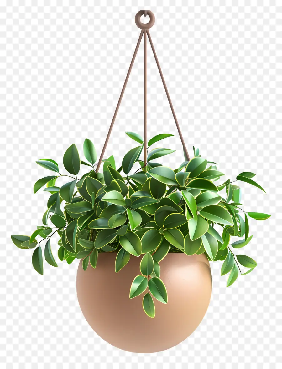 Plante En Pot Suspendue，Plante Suspendue PNG