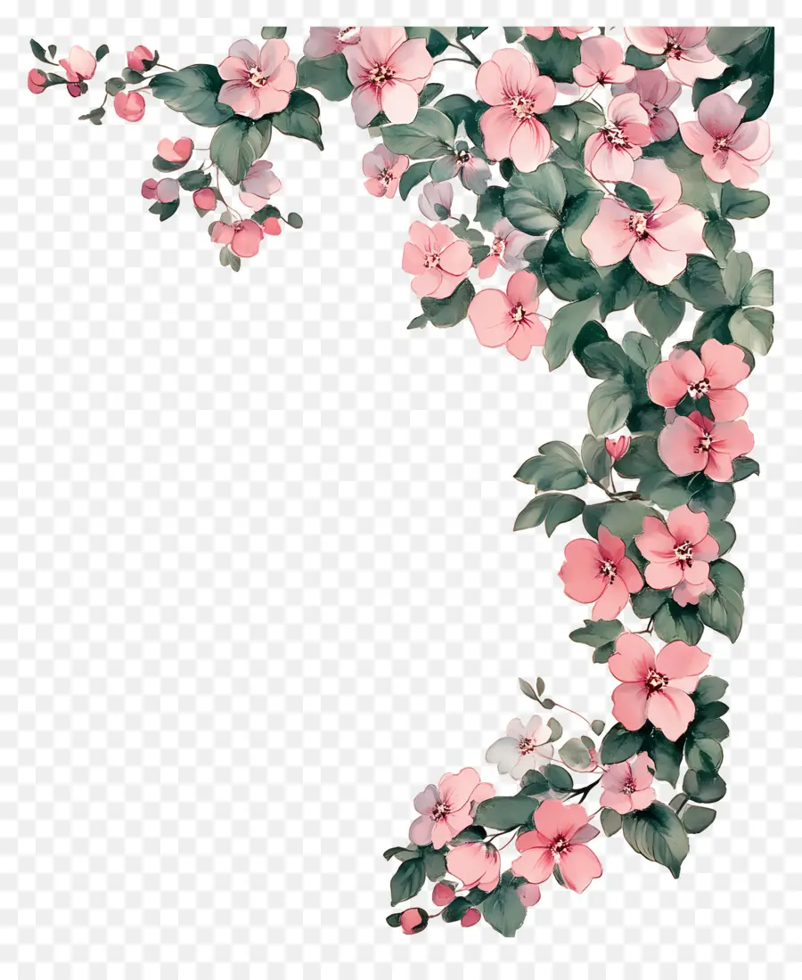 Coin Fleuri，Décoration Florale PNG