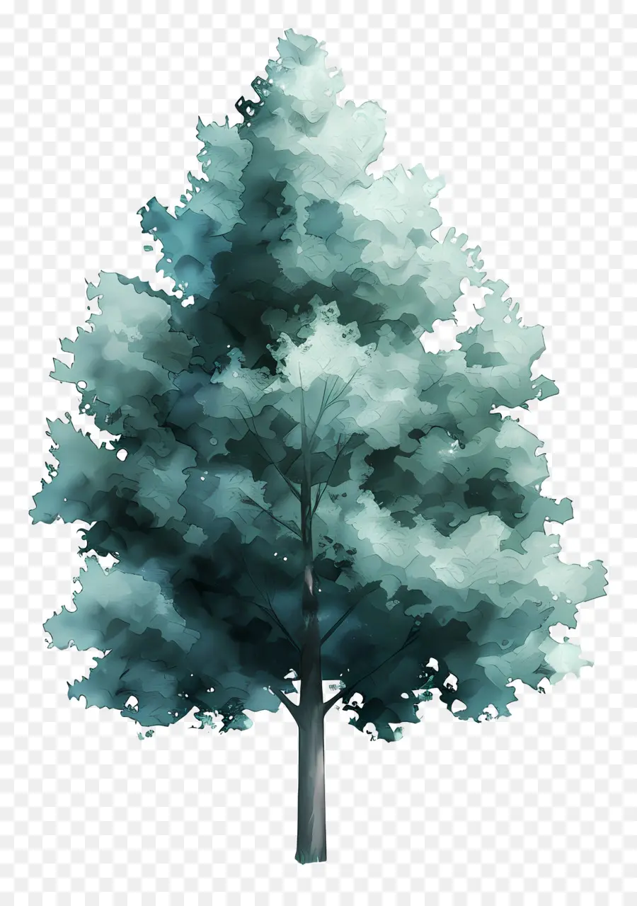 Arbre Aquarelle，Arbre Vert PNG