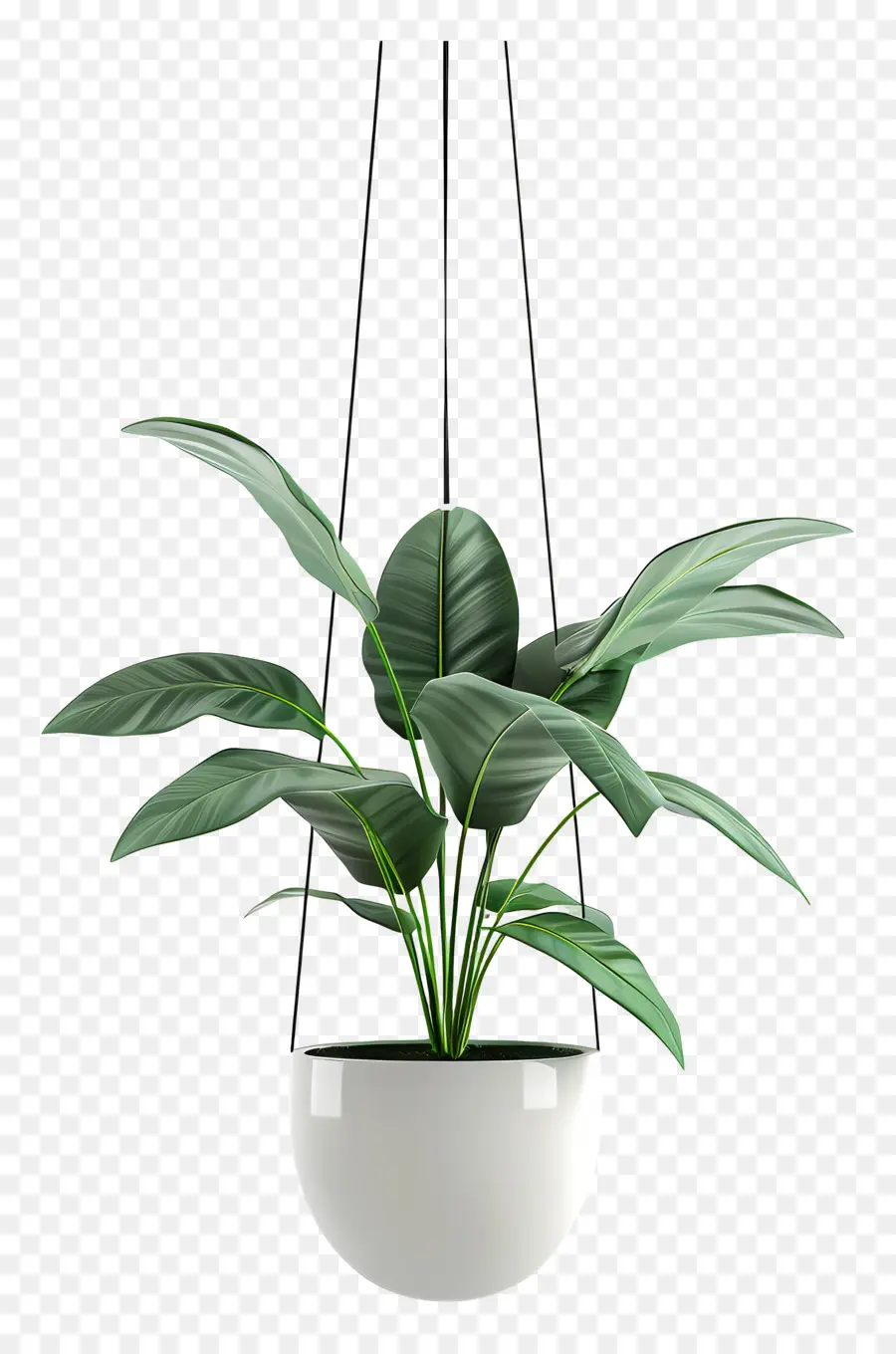 Plante En Pot Suspendue，Plante Suspendue PNG