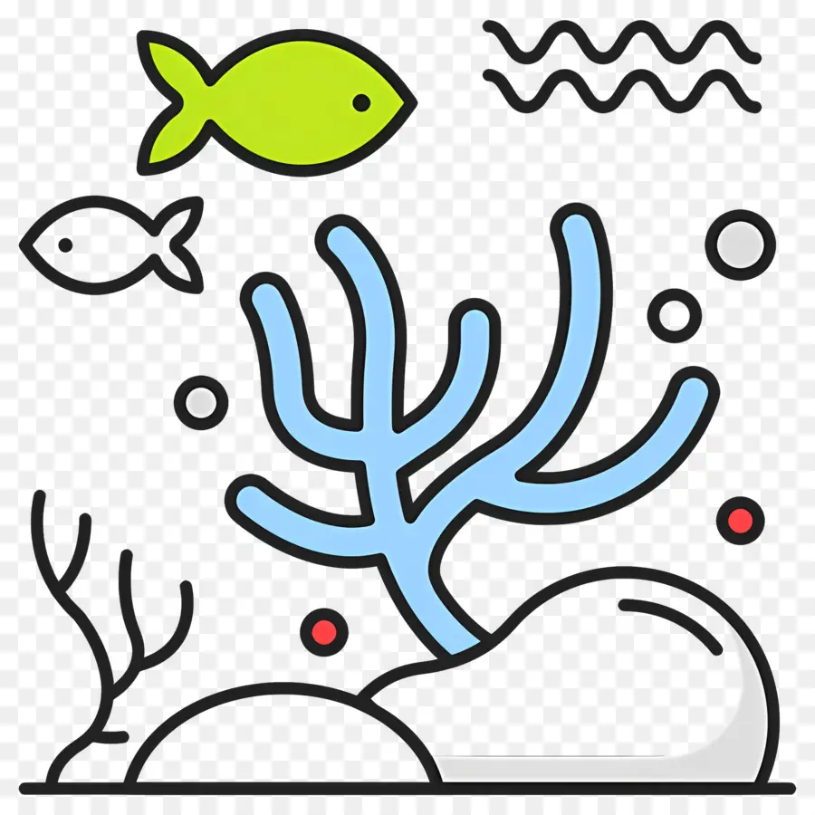 Poisson De Mer，Poisson Et Corail PNG