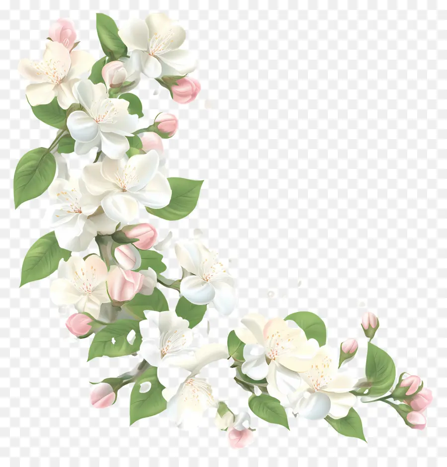 Coin Mariage，Fleurs Blanches PNG