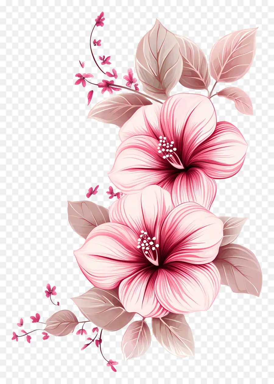 Coin Rose，Fleurs Roses PNG