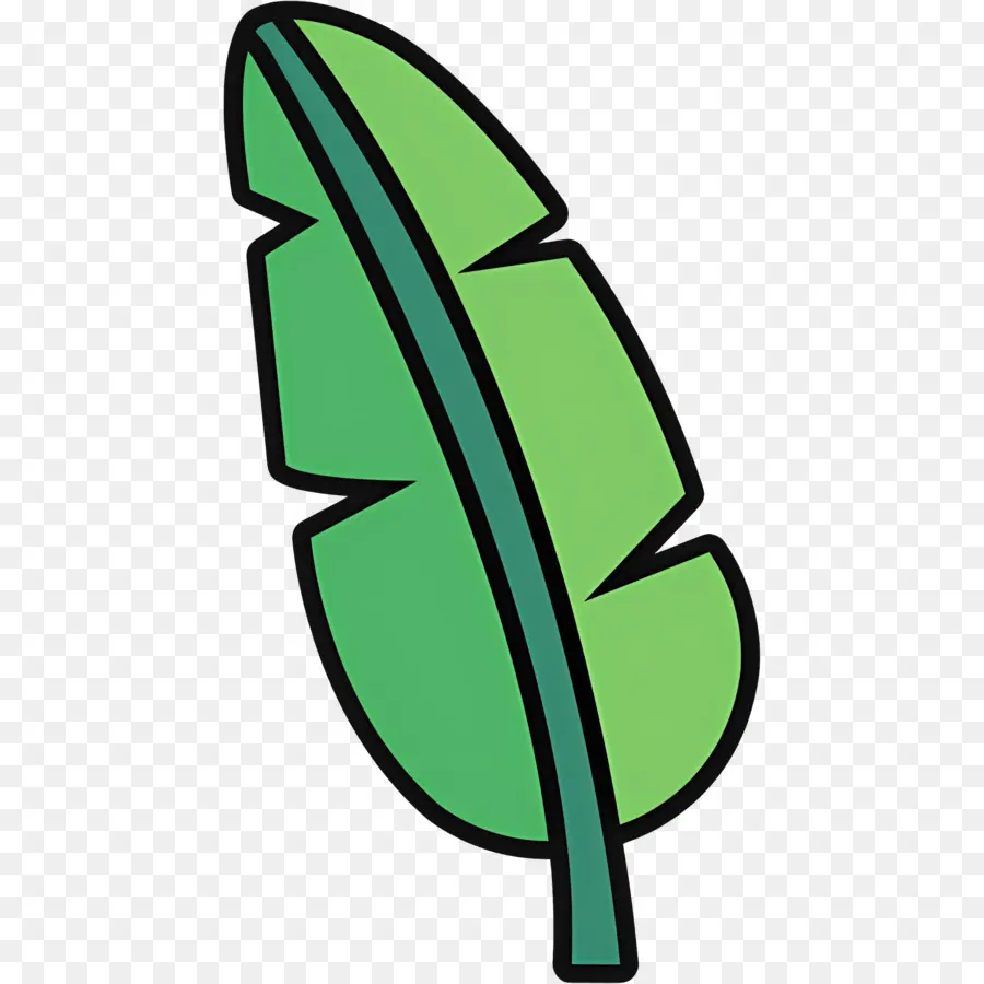 Feuille De Bananier，Feuille Verte PNG