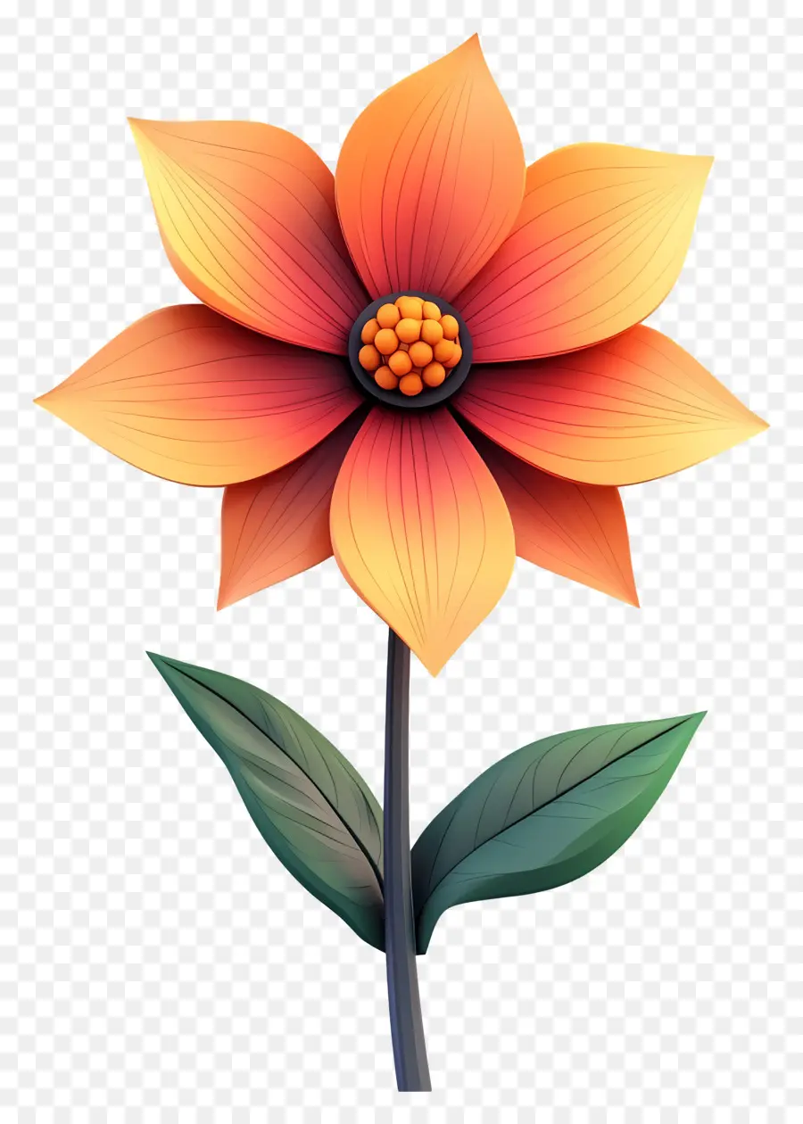 Bonjour，Fleur Rouge Et Orange PNG