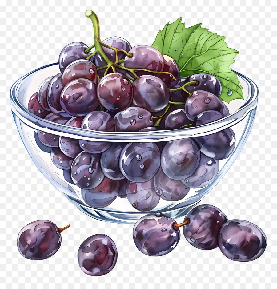 Bol De Raisins，Raisins PNG