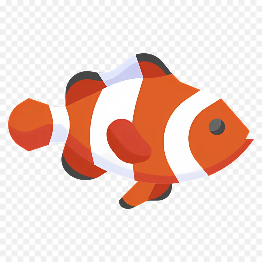 Poisson Clown，Poisson Orange PNG