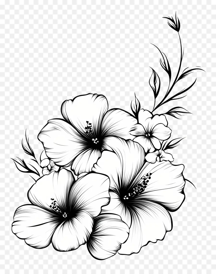 Coin，Fleurs D'hibiscus PNG