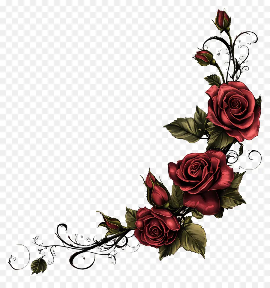 Rose，Roses Rouges PNG