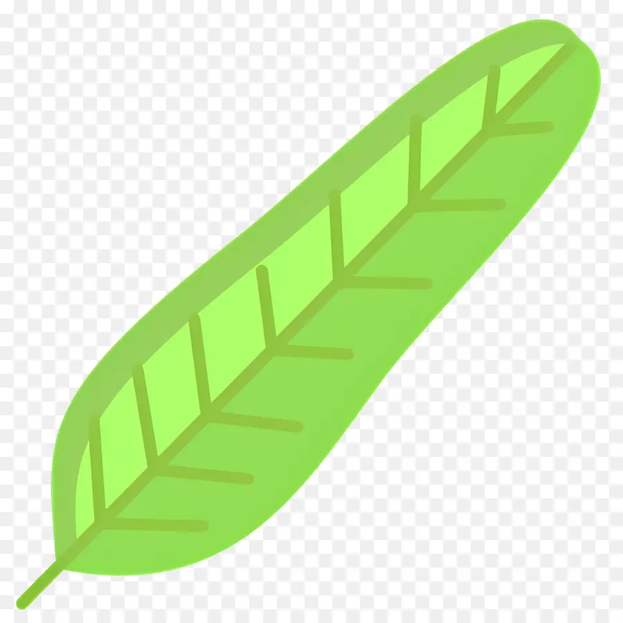 Feuille De Bananier，Feuille Verte PNG