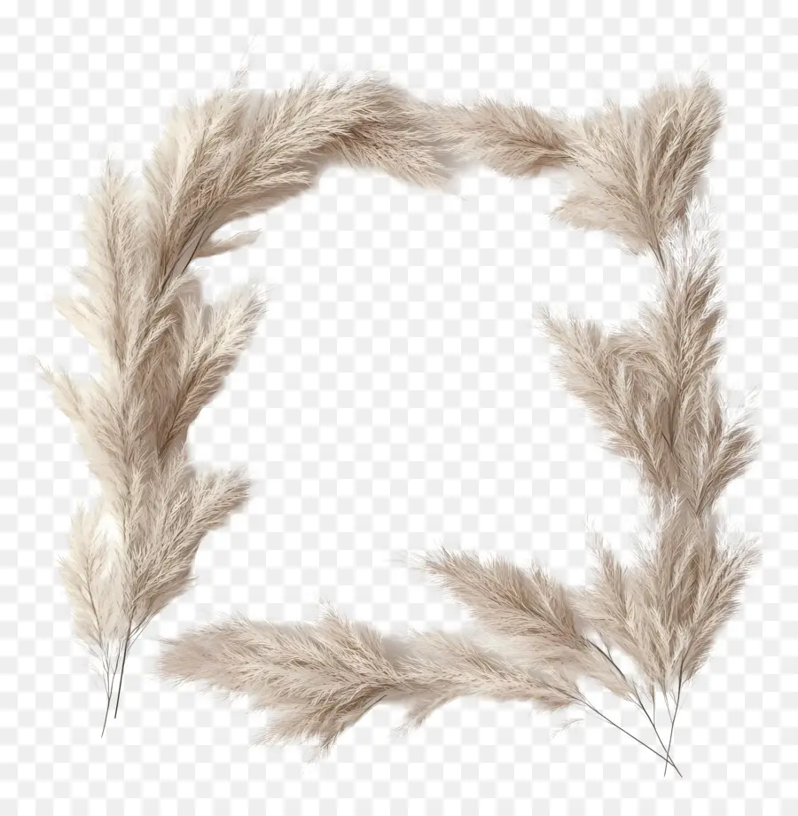 Cadre D'herbe De Pampa，Plumes PNG