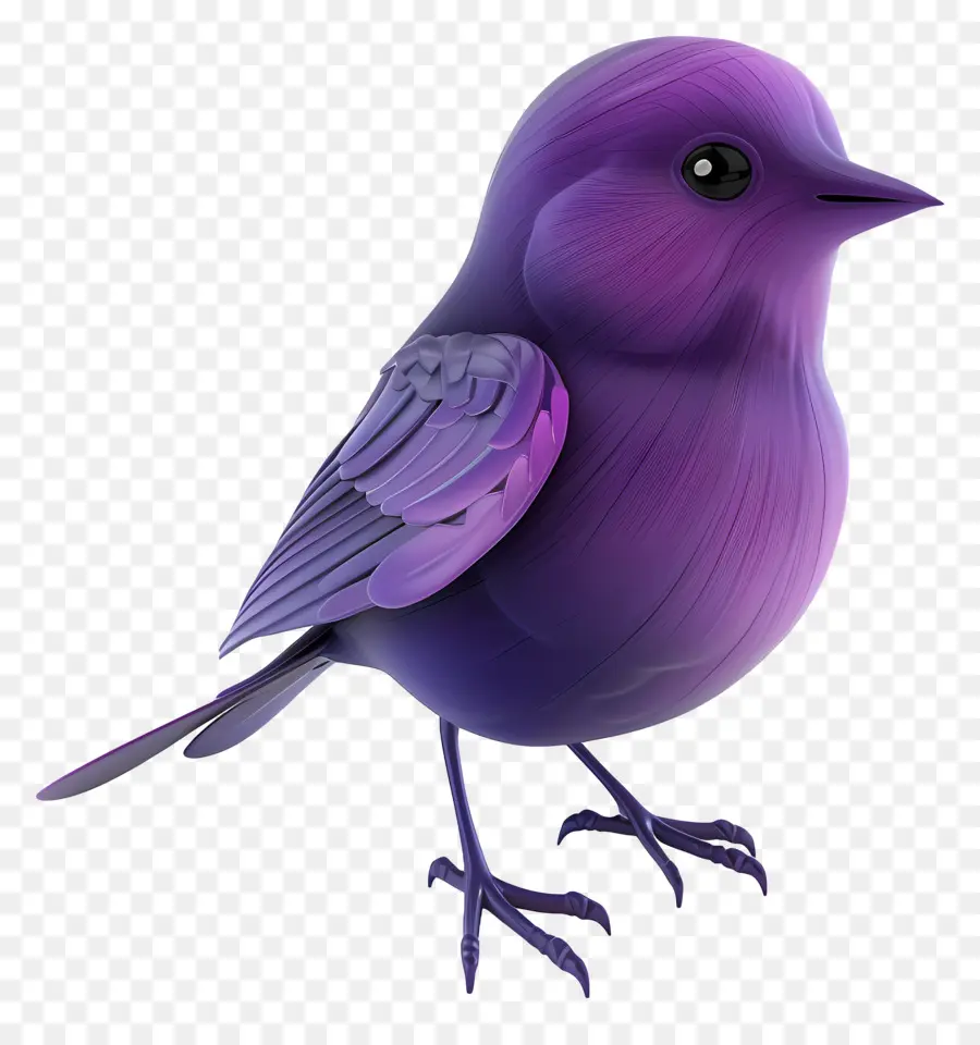 Oiseau Violet，Plumes PNG