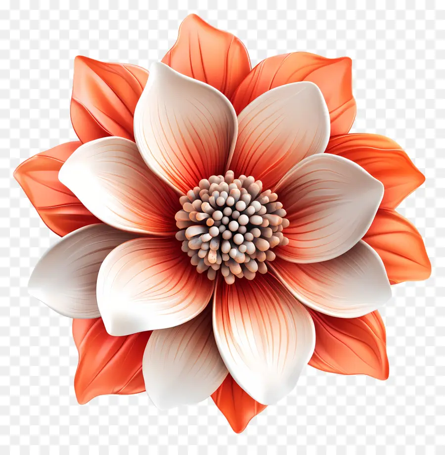 Bonjour，Fleur PNG