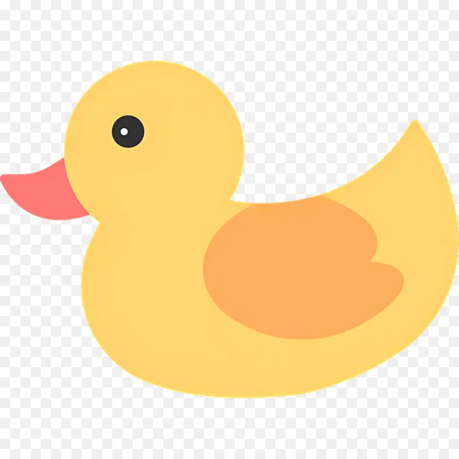 Canard，Canards En Caoutchouc PNG