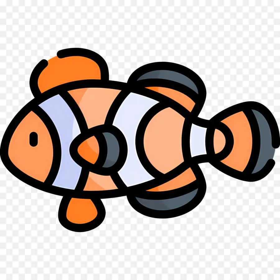 Poisson Clown，Poisson PNG