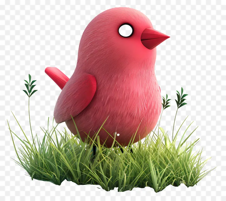 Oiseau Rouge，Herbe PNG