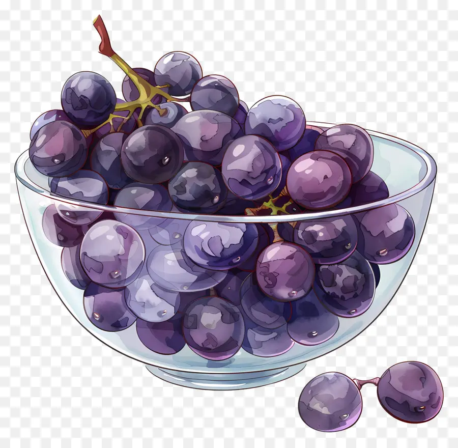 Bol De Raisins，Raisins PNG