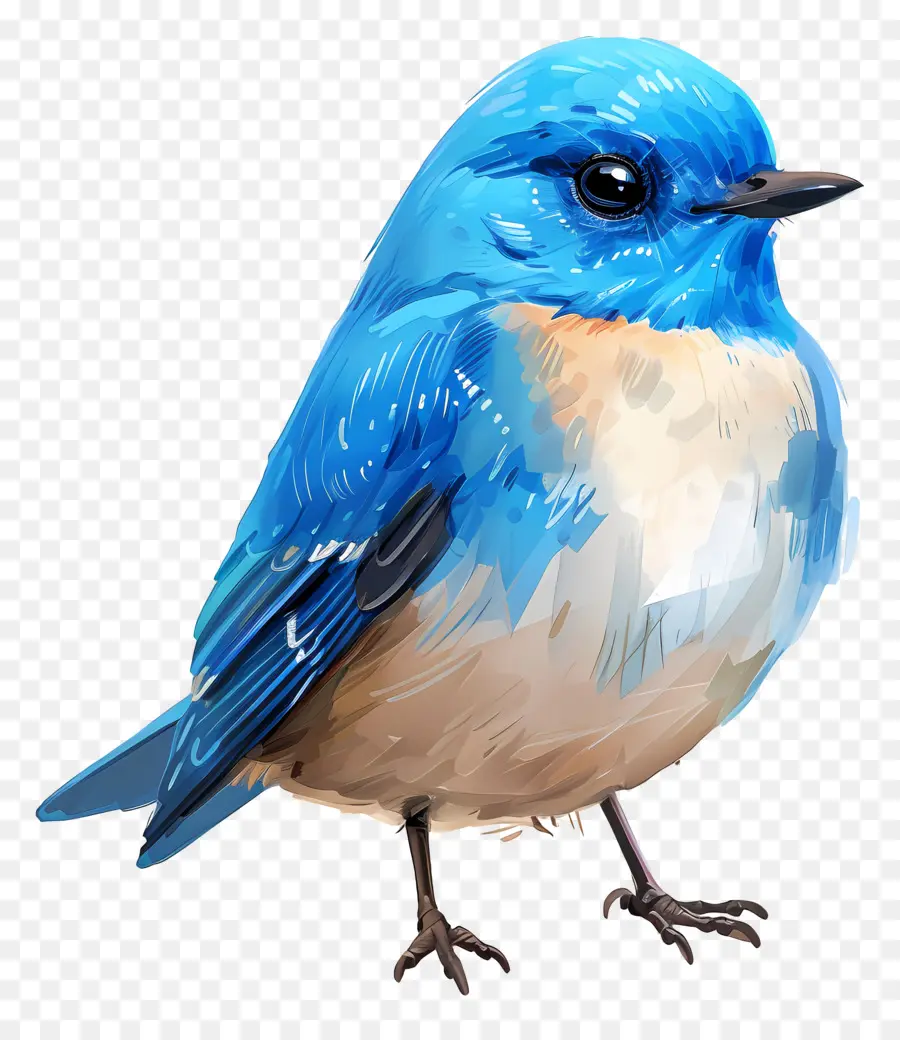 Oiseau Bleu，Bifurquer PNG