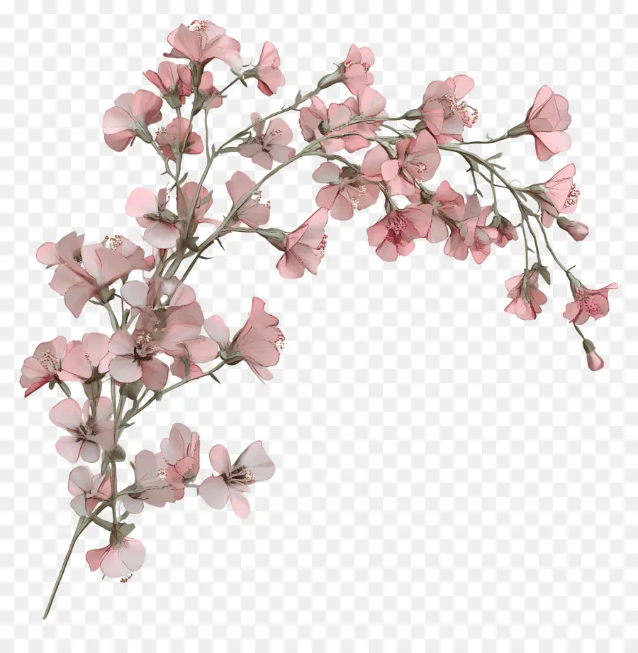 Coin Fleuri Rose，Fleurs Roses PNG