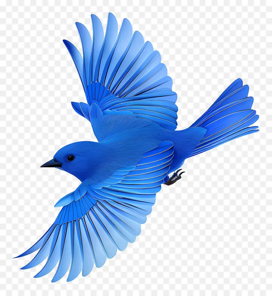 Oiseau Bleu，Vol PNG